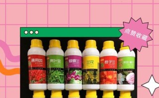 如何科学施肥养护蝴蝶兰（学会这些技巧，让你的蝴蝶兰更健康）