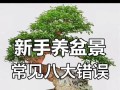 盆栽养护指南（让你的盆栽健康茁壮一生！）