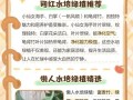 水培绿植的清洗指南（轻松保持水培绿植清爽如新，延长寿命）