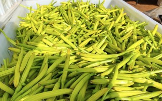 探秘神奇的黄花菜（黄花菜的生长环境、药用功效、食用方法和烹饪技巧）