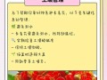 长寿花换土指南（如何为长寿花换土及选用合适的土壤）