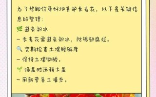 长寿花换土指南（如何为长寿花换土及选用合适的土壤）