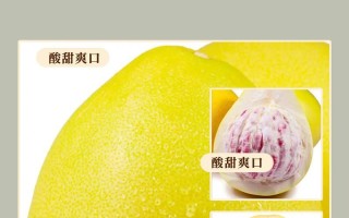 探寻蜜柚的故乡——福建闽南地区（从历史传承到优质品牌，了解蜜柚的发展故事）