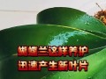 蝴蝶兰叶片发软的原因及处理方法（解决蝴蝶兰叶片发软问题的关键措施及技巧）