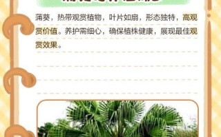 探秘蒲葵干叶子的奥秘（揭开蒲葵干叶子的制作过程及其用途）