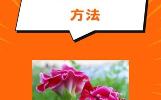 如何处理大岩桐烂根问题（有效措施保护大岩桐的生存）