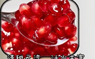 石榴种植的方法和技巧（如何正确上盆石榴苗，打造理想的种植环境）