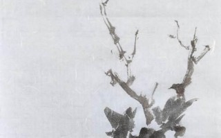 绿牡丹养殖攻略（以怎样的方法养好绿牡丹？）