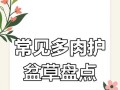 多肉黄色小草的养护指南（打造黄色小草仙境，从养护开始）