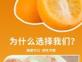 怎样保存金桔让其更长久地保持新鲜美味（金桔保存技巧与方法，让你轻松应对丰收季节）