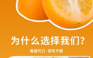 怎样保存金桔让其更长久地保持新鲜美味（金桔保存技巧与方法，让你轻松应对丰收季节）
