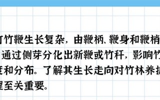 毛竹的生长周期及影响因素（了解毛竹生长周期，打造优质竹林）