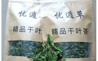 忧遁草的神奇功效（探究忧遁草的药用价值）