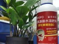 如何处理水养殖物烂根问题（有效防治烂根，保证水养殖物健康生长）