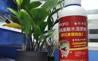 如何处理水养殖物烂根问题（有效防治烂根，保证水养殖物健康生长）