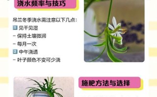 白兰越冬后的肥料施用技巧（保证白兰健康生长的关键肥料施用方法）