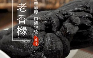 探秘佛手产地（佛手树的分布与生长环境）