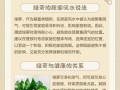 绿萝在风水中的化解之道（用绿萝调整居室风水，为家带来吉祥与好运）