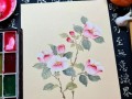 茶花与玫瑰花的区别及鉴别方法（探索茶花和玫瑰花的特点与区别，学会如何正确鉴别它们）