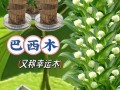 以水培植物怎么种（简单易行的水培技巧）