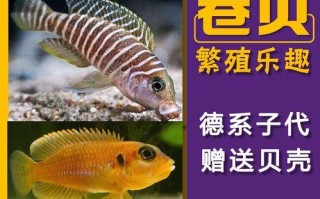 鹤望兰的繁殖方法和注意事项（打造美丽宜人的鹤望兰花园）