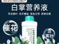 白掌水培黄叶原因与解决方法（水培中白掌出现黄叶的常见原因及解决办法）