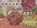 处理烂根土的有效方法（恢复土壤健康，提高植物生长质量）