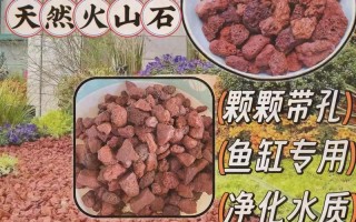 处理烂根土的有效方法（恢复土壤健康，提高植物生长质量）