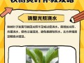 植物黄叶处理的方法与技巧（保持植物健康的关键在于正确应对黄叶问题）