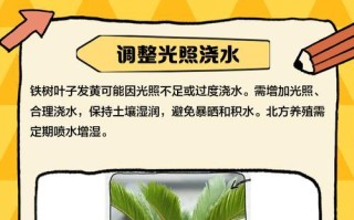 植物黄叶处理的方法与技巧（保持植物健康的关键在于正确应对黄叶问题）