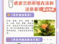 北方养兰的科学浇水技巧（合理浇水，让北方兰花生机盎然）