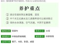 土养莲花竹的养护技巧（以土养莲花竹，打造翠绿生机之美）