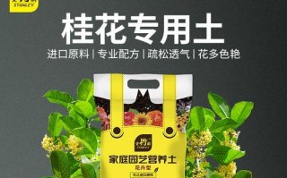 打造高效的桂花土（桂花土怎么配种植营养土？）