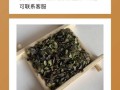 浮萍的神奇之处（揭秘浮萍的多种功效及作用）