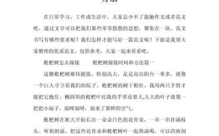 秋天枇杷树的嫁接技术与方法（探索秋季嫁接，提高枇杷果实质量）