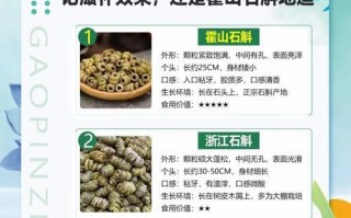 石斛能否在冬季存活？（探究石斛的冬季生存能力及保护措施）
