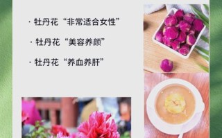 盛开的牡丹花之美（花开如火，绽放娇艳——赏析牡丹花的独特魅力）