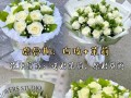 初恋之礼——送什么花合适？（初恋送花，这些事项要注意）
