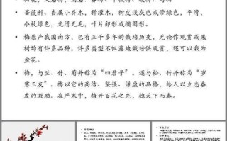 梅花的生长习性特点及生长环境条件研究（探究梅花的成长之路，找到适宜的生长环境）