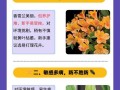 以香雪兰怎么养殖（打造花坛的最佳选择，香雪兰养殖知识大揭秘）
