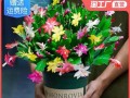如何正确养护螃蟹爪花（学会掌握适宜的环境和营养，让螃蟹爪花欢快绽放）
