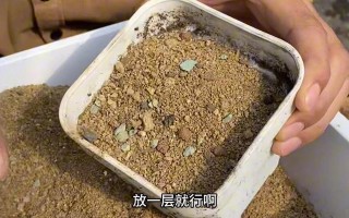 多肉植物土壤消毒的方法与注意事项（保护多肉植物生长的关键——土壤消毒）