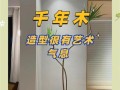 如何防止千年木叶子发软下垂？（原因分析及有效补救方法，让千年木叶子重现风姿）