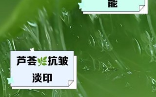 探秘龙爪芦荟的健康功效（发现龙爪芦荟的营养成分和药用价值）