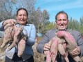 地瓜丰收季节揭秘（探秘地瓜成熟的时间，了解地瓜的生长过程及其适合种植的季节）