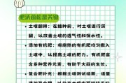大蒜头水培养殖的方法与技巧（掌握大蒜头水培的关键步骤，打造丰收的蒜农之路）