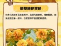 夏天长寿花叶子尖发黄的原因与解决方法（夏季高温导致长寿花叶子发黄，如何处理？）