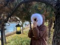 松树的冬季生存之道（探索松树如何适应严寒冬季的关键策略）