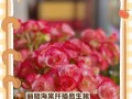 探秘丽格海堂的修剪技巧（打造理想花园的秘密武器及）