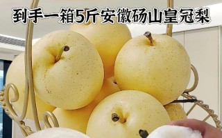 皇冠梨产地分布及最佳产区分析（哪里的皇冠梨最好？皇冠梨种植的地理环境与气候对果实品质的影响）